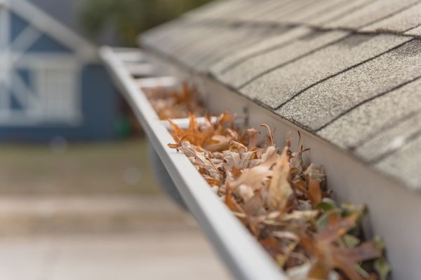 Leaf Barrier Installation in Hilton Head Island
